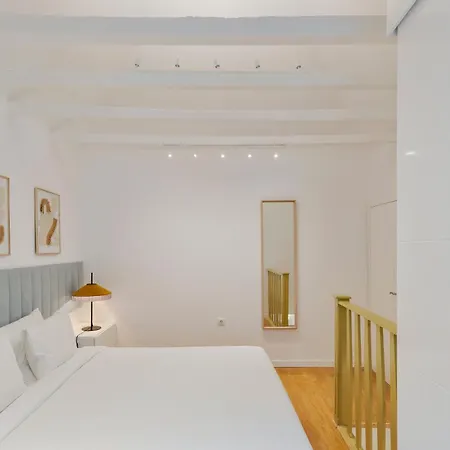 True * سيتوبال